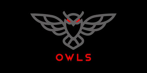 Owls Options Traders